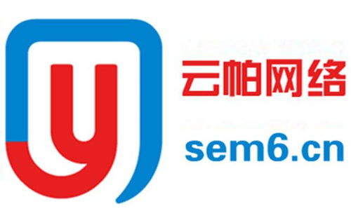 德州云帕网络科技与德阳网络信息科技 两家网络科技公司的对比与展望