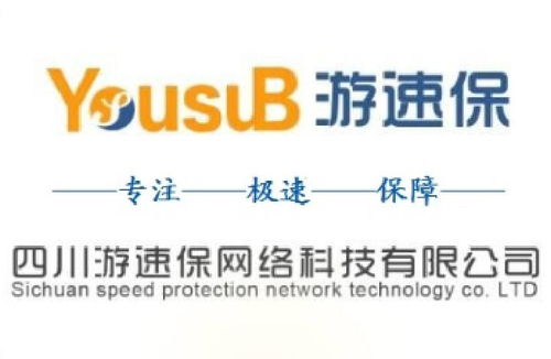 四川游速保网络科技 深耕计算机科技，领航行业创新
